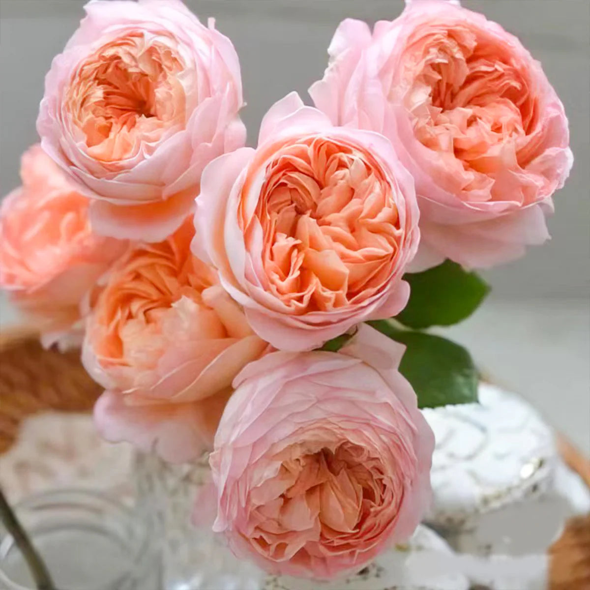 Confiture Rose Shrub