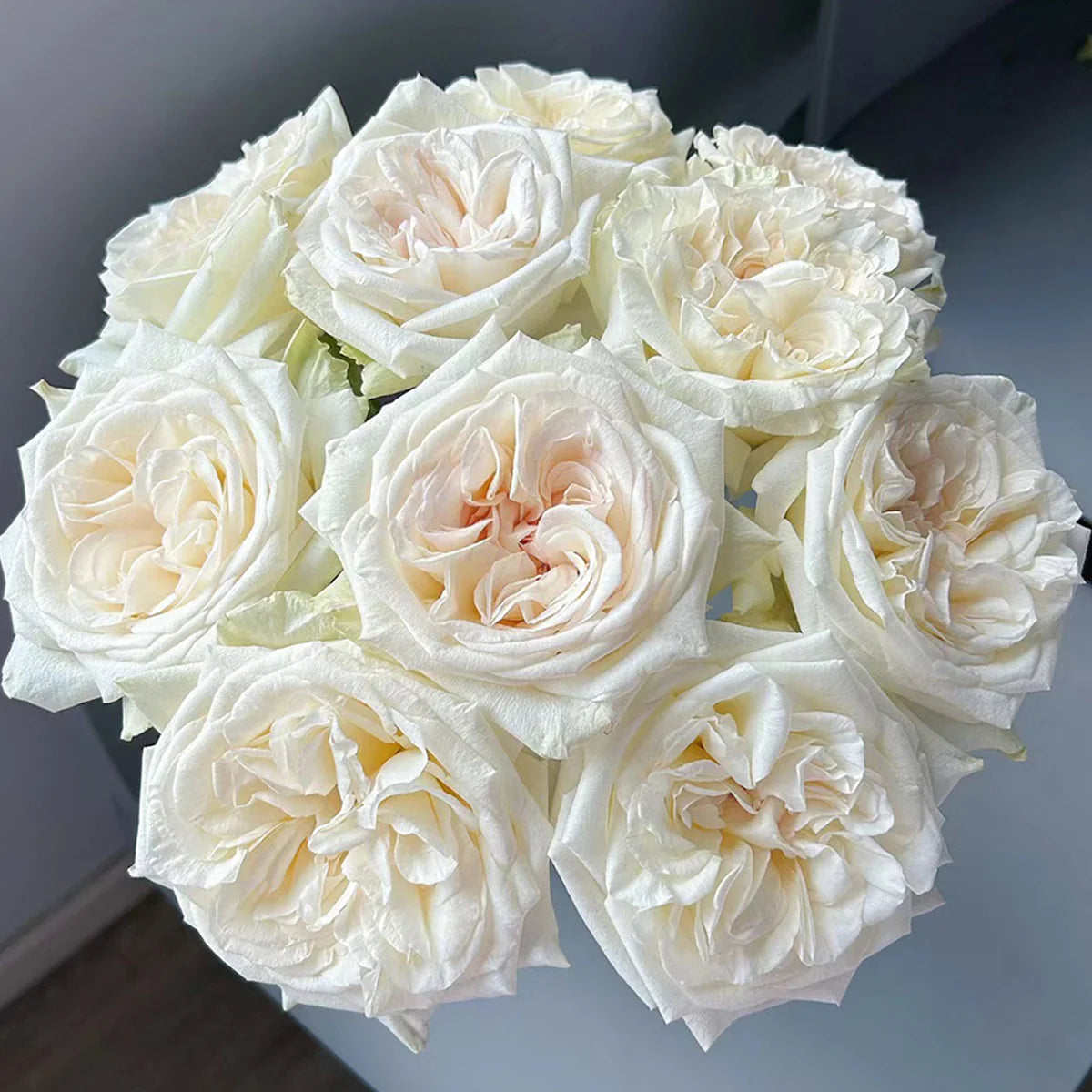 White O'Hara Florist Rose